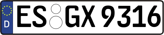 ES-GX9316