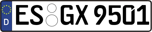 ES-GX9501