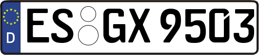 ES-GX9503