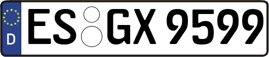 ES-GX9599