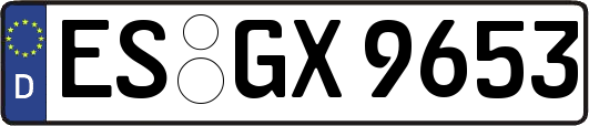 ES-GX9653