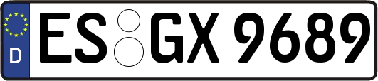 ES-GX9689