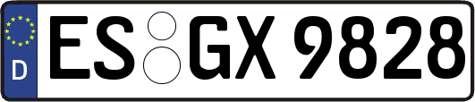 ES-GX9828