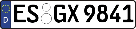 ES-GX9841