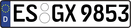 ES-GX9853
