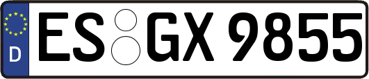 ES-GX9855