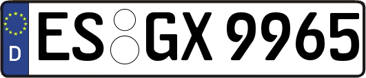 ES-GX9965