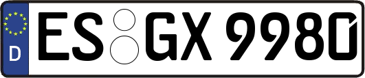 ES-GX9980