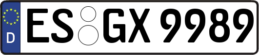 ES-GX9989