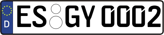 ES-GY0002