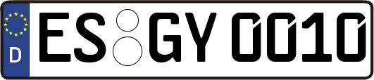 ES-GY0010