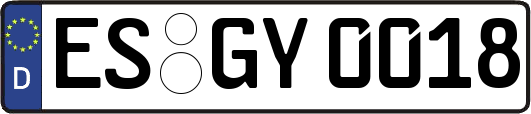 ES-GY0018