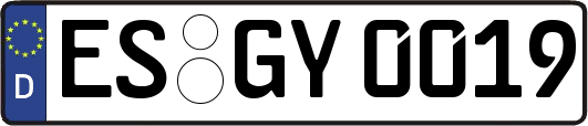 ES-GY0019