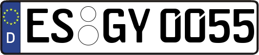 ES-GY0055