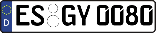 ES-GY0080