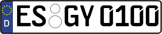 ES-GY0100