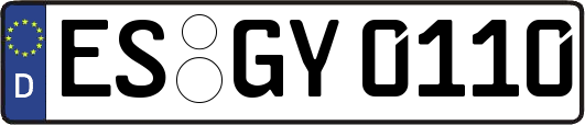 ES-GY0110
