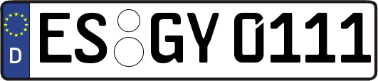ES-GY0111