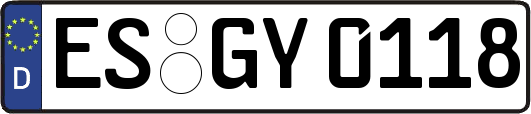 ES-GY0118