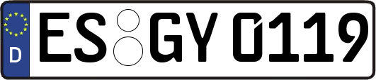 ES-GY0119