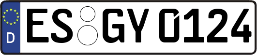 ES-GY0124