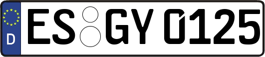 ES-GY0125