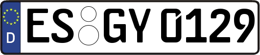 ES-GY0129
