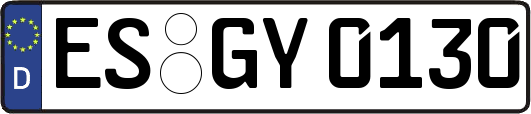 ES-GY0130