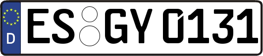 ES-GY0131