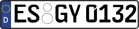 ES-GY0132