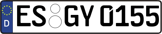 ES-GY0155