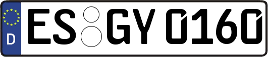 ES-GY0160