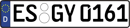 ES-GY0161