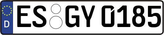 ES-GY0185