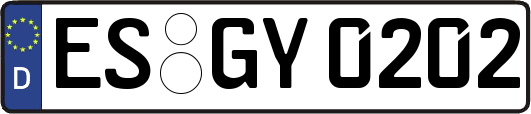 ES-GY0202