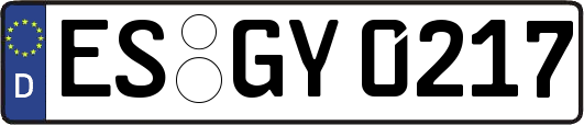 ES-GY0217