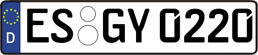 ES-GY0220