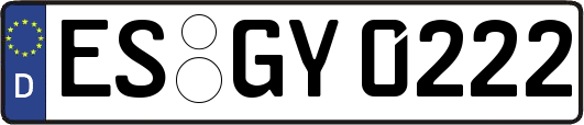 ES-GY0222