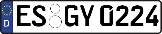 ES-GY0224