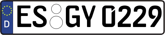 ES-GY0229