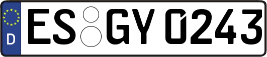 ES-GY0243