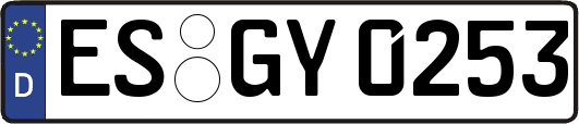 ES-GY0253
