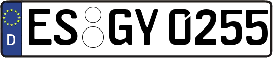 ES-GY0255