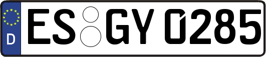 ES-GY0285