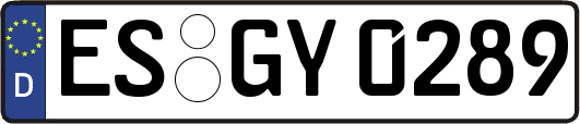 ES-GY0289