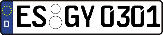 ES-GY0301