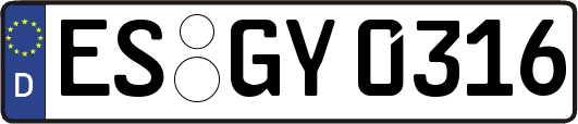 ES-GY0316