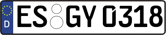 ES-GY0318