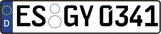 ES-GY0341