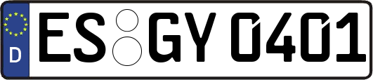 ES-GY0401